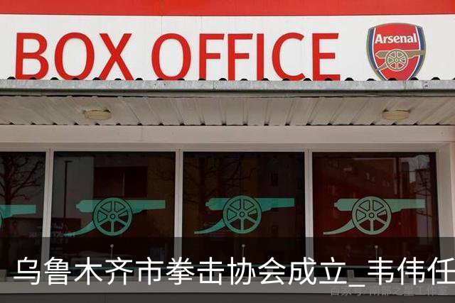 乌鲁木齐市拳击协会成立 韦伟任会长